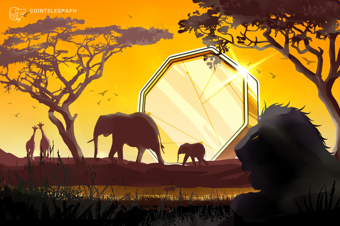You are currently viewing Central African Republic to tokenize the nation’s natural resources