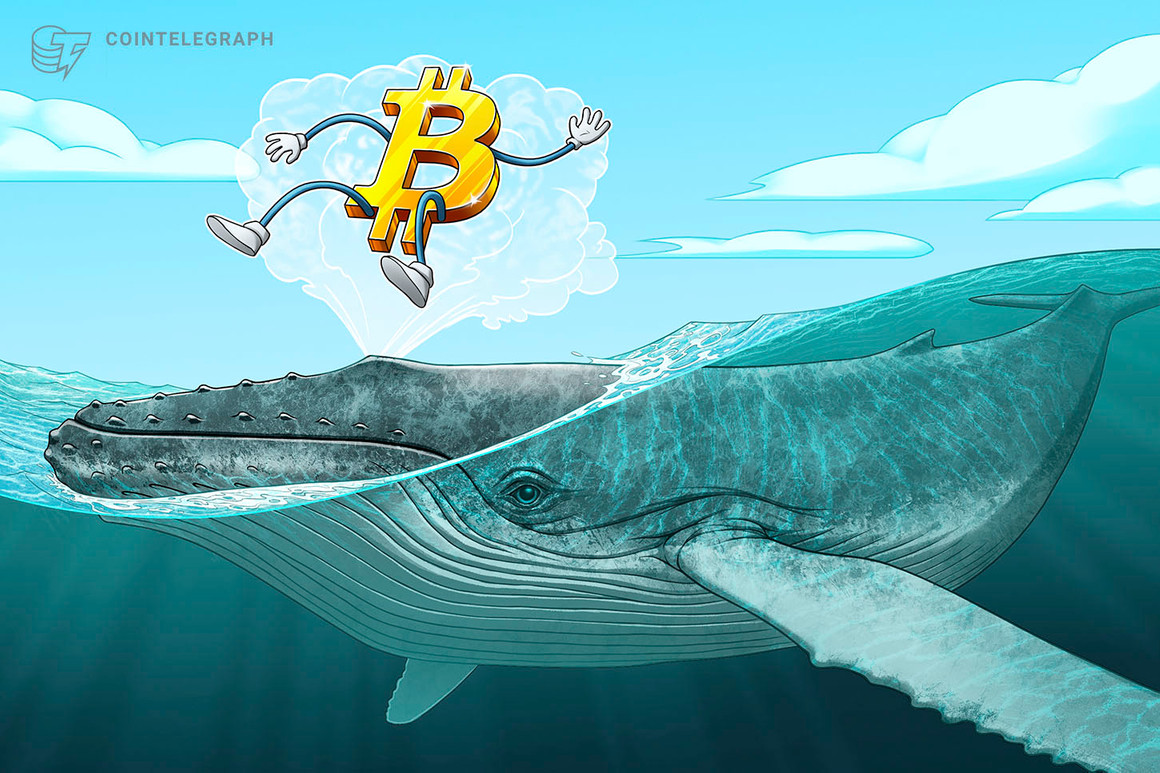 You are currently viewing BTC price tops 10-day highs as Bitcoin whale demand sees ‘huge spike’