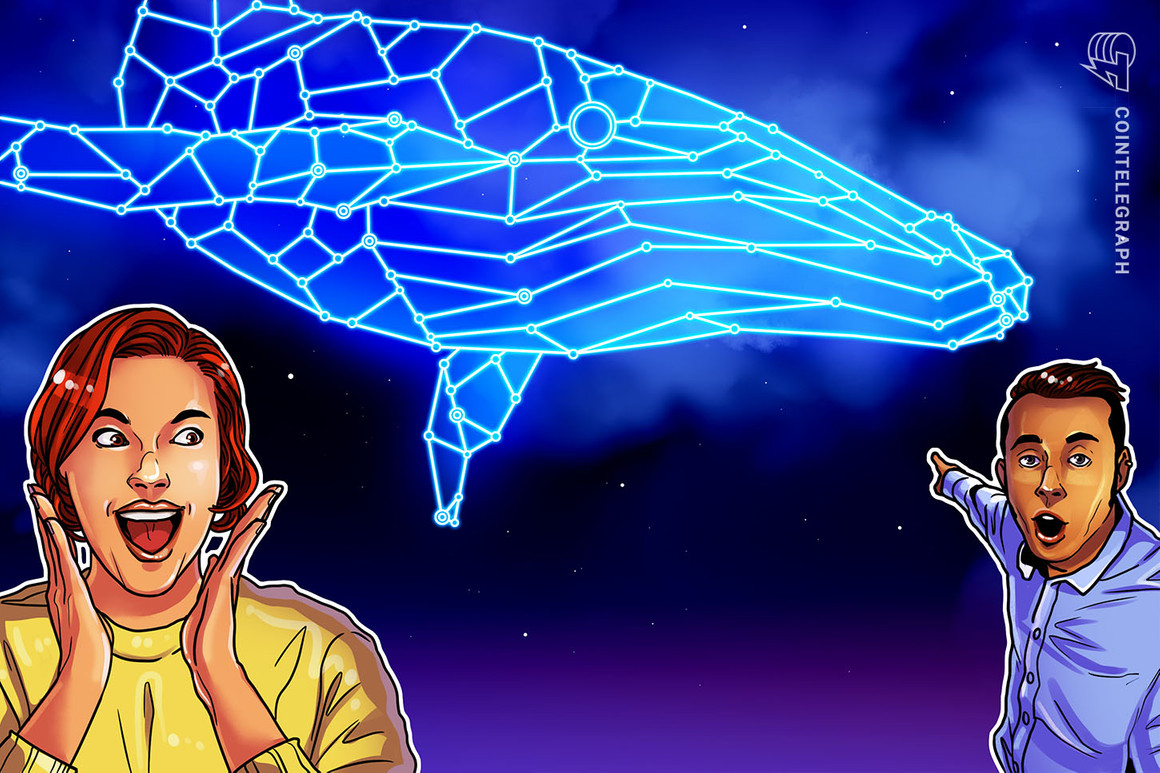You are currently viewing What decentralization? Solend approves whale wallet takeover to avoid DeFi implosion