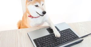 Read more about the article Speculation Fuels Shiba Inu, Dogecoin to Biggest Seven-Day Gains as Bitcoin Steadies